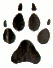 lupo
